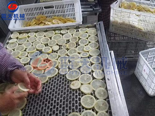 云南水果烘干機用戶現(xiàn)場