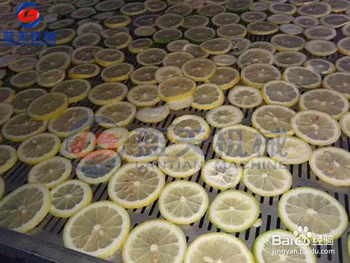 云南水果烘干機用戶現(xiàn)場