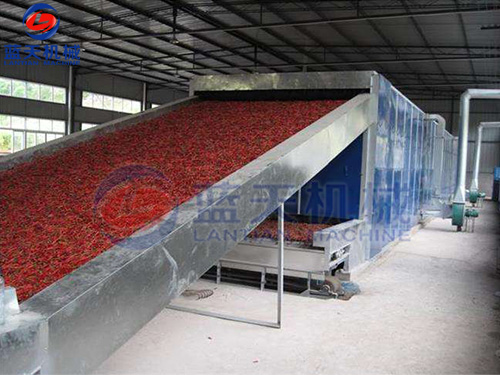 貴州帶式辣椒烘干機(jī)用戶現(xiàn)場