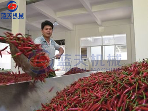 貴州帶式辣椒烘干機(jī)用戶現(xiàn)場