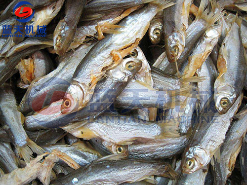 江蘇魚干烘干機用戶現(xiàn)場